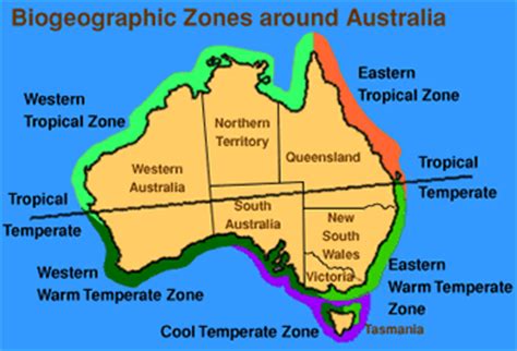Top 10 cities in western australia and distance from tropic of capricorn. Latitude