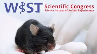 Arguments Against Animal Testing | emr.ac.uk