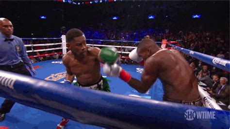 Daniel Jacobs Boxing  By Showtime Sports Find And Share On Giphy