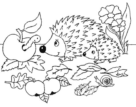 egel kleurplaat.gif (754×595) Herfst knutselen, Herfst tekenen, Herfst