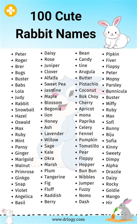 100 Cute Rabbit Names With Meaning Rabbit Names Names With Meaning