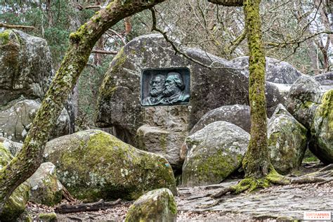 Noche De Los Bosques En Fontainebleau 2023 Arte Naturaleza Y Grandes