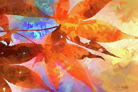 Autumn Leaves Abstract Digital Art By Barry Wills Fine Art America