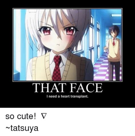 That Face I Need A Heart Transplant So Cute ≧∇≦ ~tatsuya Anime Meme On Sizzle