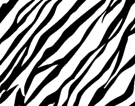 Clipart Zebra Print
