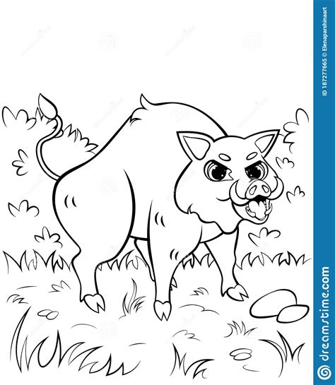 Coloring Page Outline Of Angry Cartoon Hog Or Boar Attacking Vector
