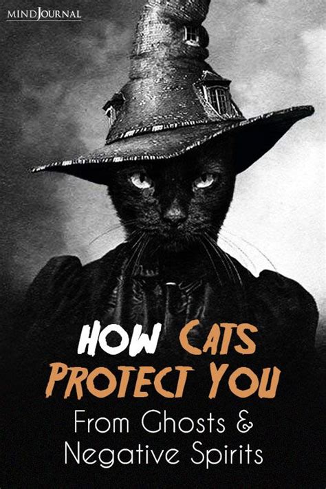 A Black Cat Wearing A Witches Hat With The Words How Cats Protect You