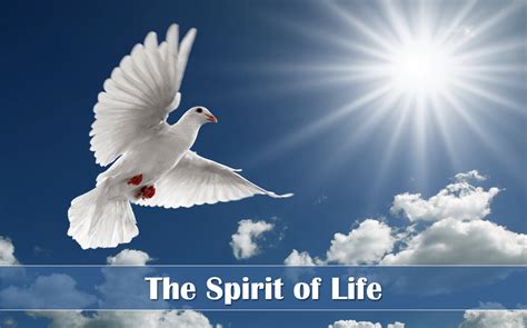 The Spirit Of Life Sunset Church Of Christ In Springfield Mo