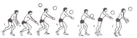Lascia la tua opinione su ruoli pallavoloe scopri opinioni su temi relazionati comeruoli e pallavolo. Posizioni e ruoli dei giocatori - Il Pallavolo