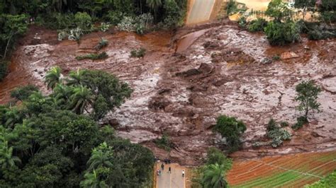 brumadinho dam collapse in brazil vale mine chief resigns bbc news