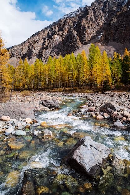 Premium Photo Autumn In The Aktru River Valley Severo Chuysky Ridge