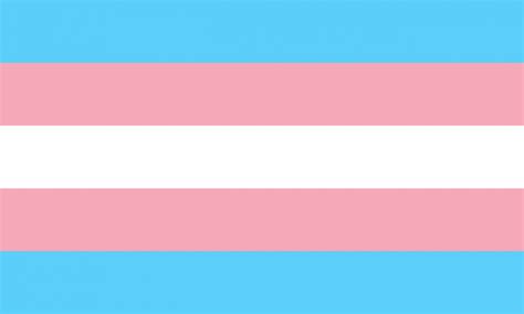 Conjunto de identidades de gênero que não são exclusivamente masculinas ou femininas. Uma breve história das bandeiras de orgulho trans e não ...