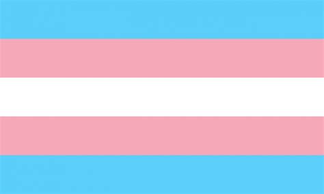 Gênero fluído e não binário é a mesma coisa? Uma breve história das bandeiras de orgulho trans e não ...