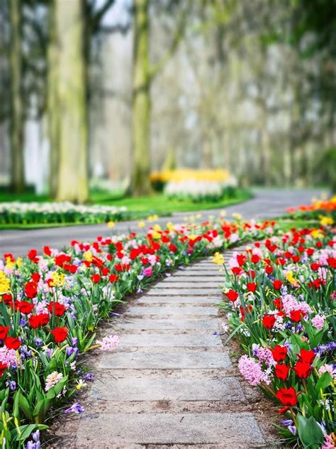 Garden Background Images For Photoshop