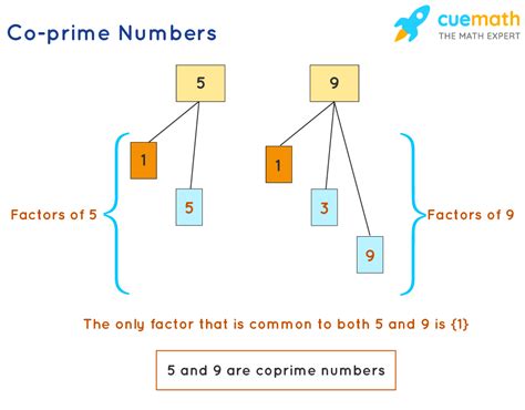 Coprime Numbers Definition List Examples What Are Coprime Numbers