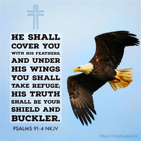 He Shall Cover You I Live For Jesus