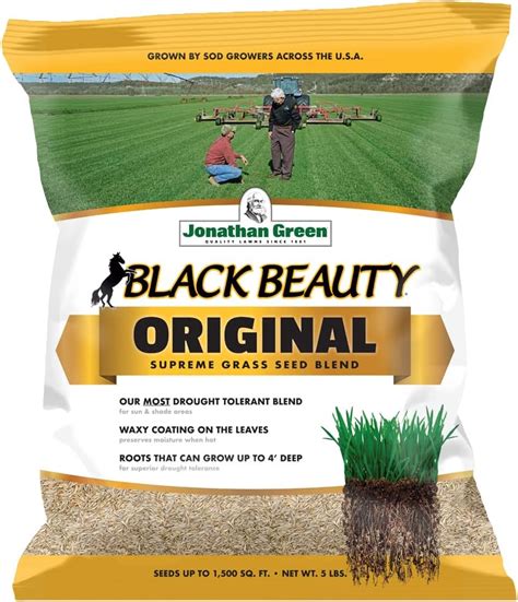 Jonathan Green Black Beauty Grass Seed Mix Pounds Amazon Ca Patio Lawn Garden