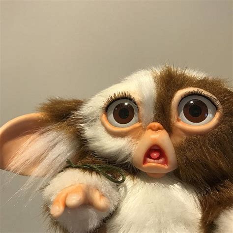 Lenny Mogwai Etsy In 2020 Gizmo Gremlins Cute Profile Pictures