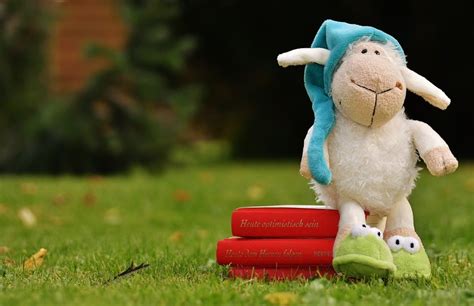 Sheep Plush Toy Free Image Download