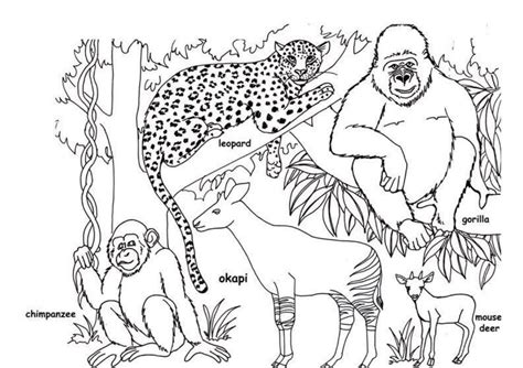 Wild Animals Coloring Pages Printable At Getdrawings Free Download