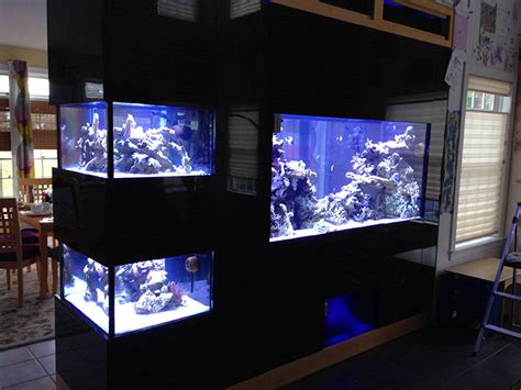 Recent Work Armco Aquariums Serving Philadelphia Wilmington De Pa