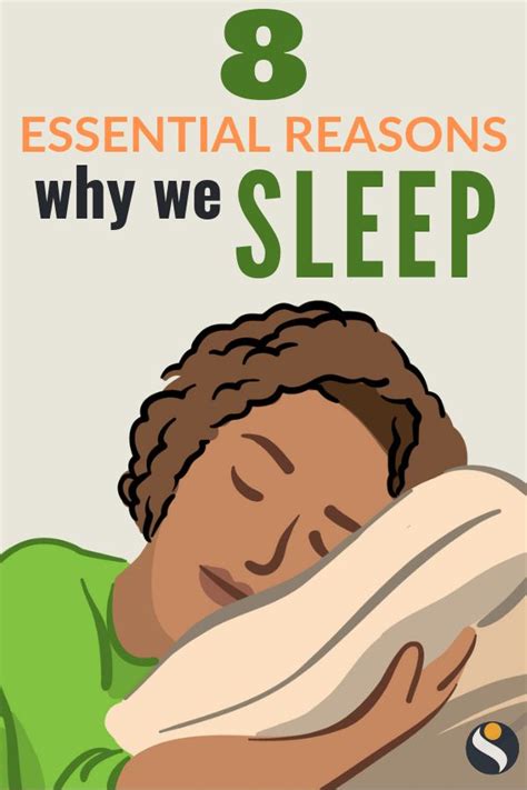 Why Do We Sleep The 8 Essential Reasons Sleep Neuroscience Science