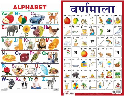 Pegasus Hindi Varnmala Alphabet Thick Laminated Primary 54 OFF