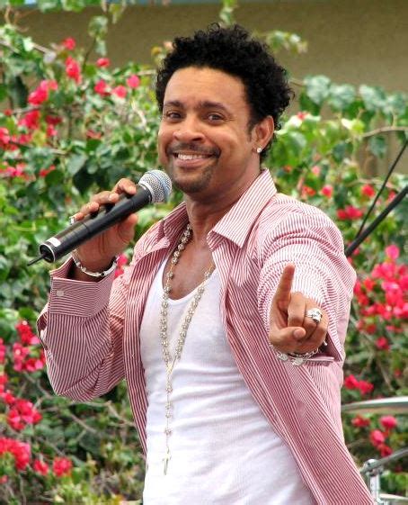 Shaggy Musician Wikipedia