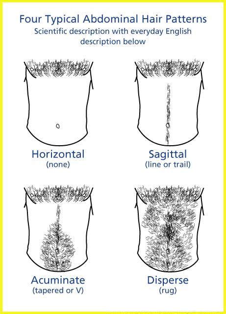 What Is Snail Trail Hair Postureinfohub