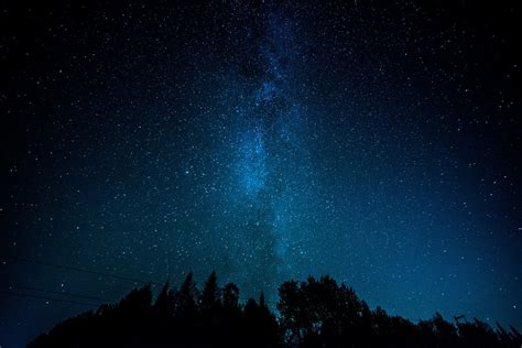 Stars Landscape Trees Silhouette Milky Way Wallpapers Hd Desktop