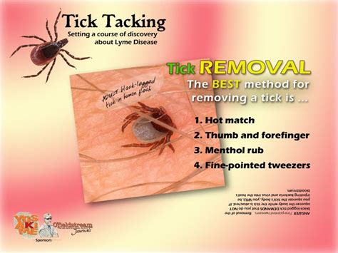 How To Use A Match To Remove A Tick Howtormeov