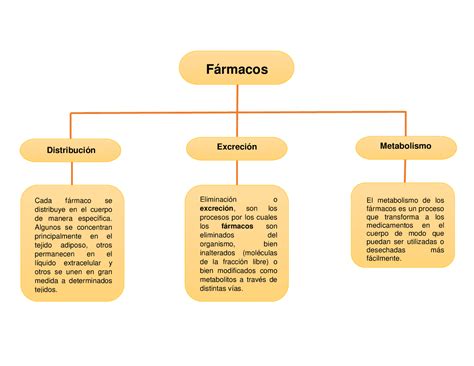 Mapa Conceptual De Farmacologia Farez The Best Porn Website