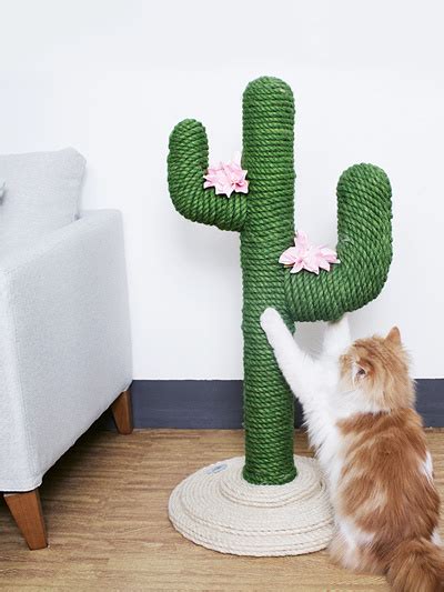 Diy clay cactus ring holder. Qoo10 - Cactus Cat Scratcher : Pet Care