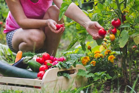 13 Ways Gardeners Can Give Back Hgtv