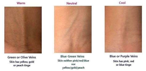 How To Know Your Undertone A Full Guide For Your Skin Color