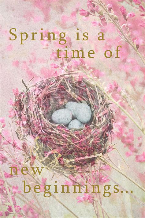 Spring Is A Time Of New Beginnings Photograph By Suzanne Powers Fine