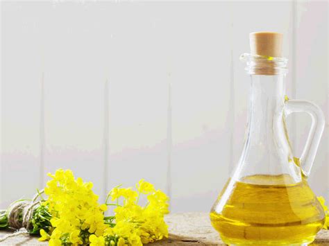 Canola Oil Is It Good Or Bad For Your Brain Memory