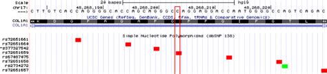Whole Exome Sequencing Identifies De Novo Mutation In The Col1a1 Gene