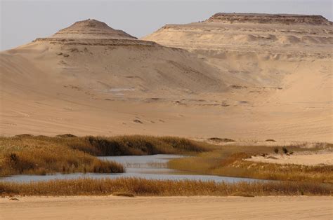Libyan Desert Near Siwa Freshwater Lake Siwa Oasis And The Libyan
