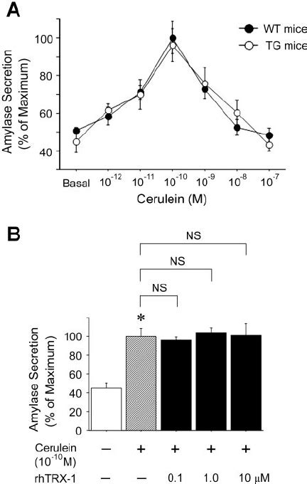 A Dose Response Curves Of Amylase Secretion From Pancreatic Acinar Download Scientific