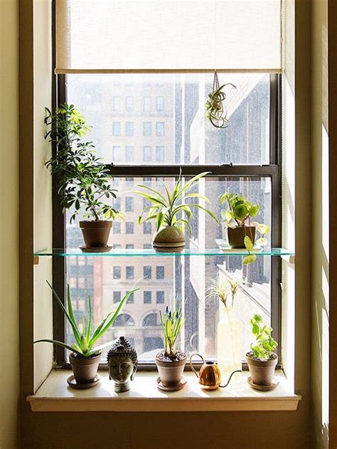 16 Indoor Window Garden Ideas With Tutorials For Urban Gardeners