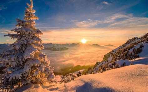 1405294 Winter Nature Mountains Trees Rare Gallery Hd Wallpapers