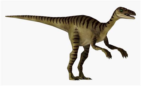 Image Velociraptor Jp3 Png Jurassic Park Wiki Fandom Walking With