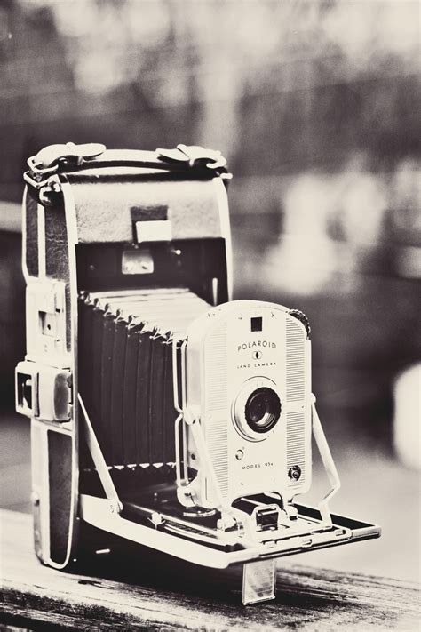 25 Most Eye Catching Polaroid Camera Inventor You Need To Collect