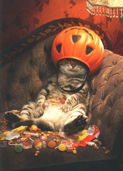 Cat Under Candy Bucket Funny Humorous Halloween Card By Avanti Press