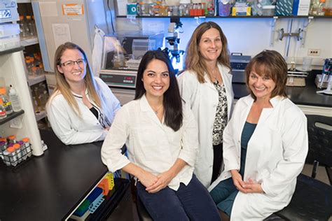 Ci Groups Women In Science Network Colorado State University