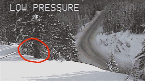 Was Bigfoot Spotted On Washington Traffic Camera