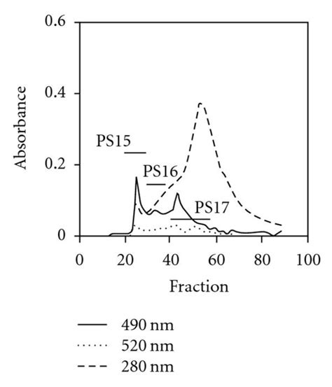 Elution Patterns In Size Exclusion Chromatography Of Fractions Obtained