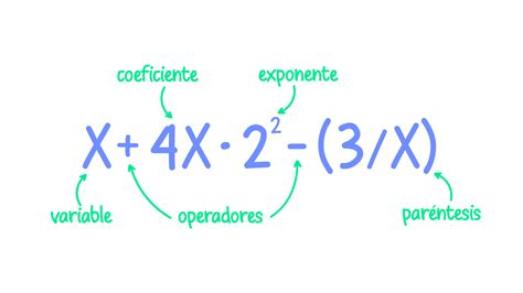 Notas Y Expresiones Algebraicas Mind Map