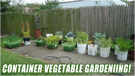 How To Start A Container Vegetable Garden From Scratch